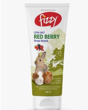Fizzy Kemirgen Red Berry Paste 100gr