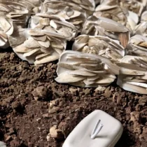Kalamar Bombası 2 Adet – Komple Kalamar İçi Dışı