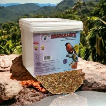 Kurtlu Karınca Yumurtalı 5 Kg Nemli