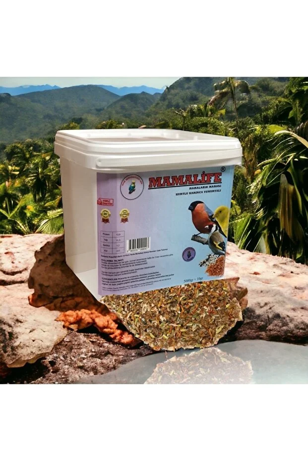 Kurtlu Karınca Yumurtalı 5 Kg Nemli