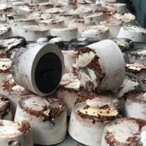Premium Mineral Blok Adet