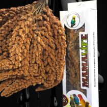120 gr Daldarı Tilki Kuyruğu Kutulu
