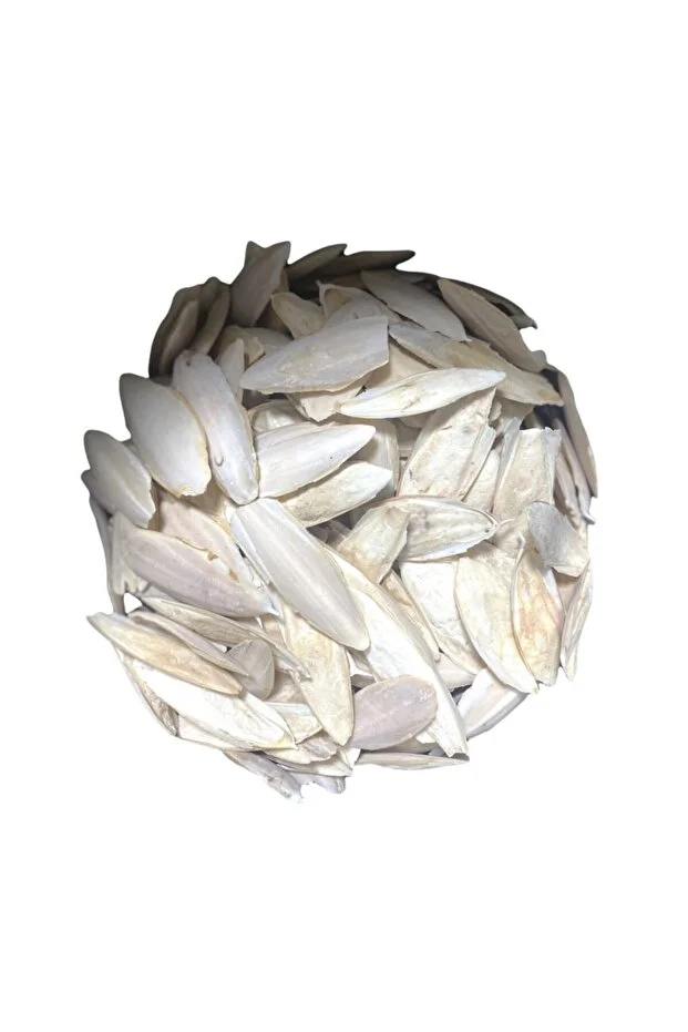 1 kg Parça Kırık İri Kalamar Kemiği