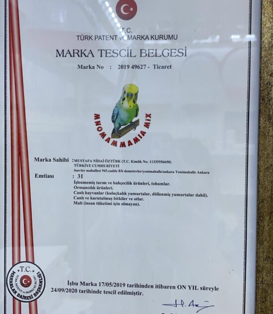 MNOMAMMAMİA MİX