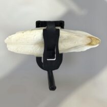 Kalamar Kemiği 16-20 cm Aparat Hediyeli