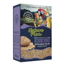 Nature Plan Delicious Serisi Soyulmuş Yulaf 250gr
