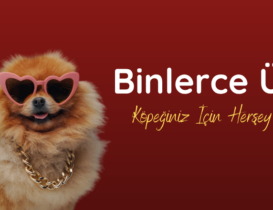 Köpek
