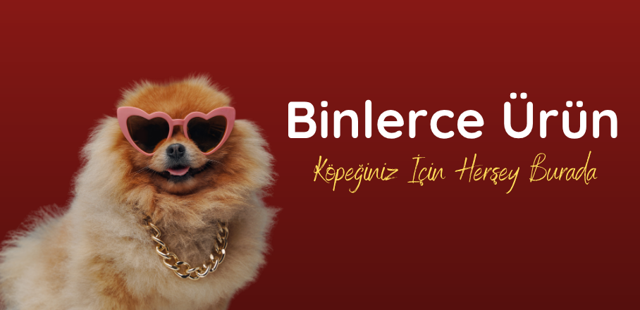 Köpek
