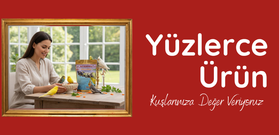 Kuş